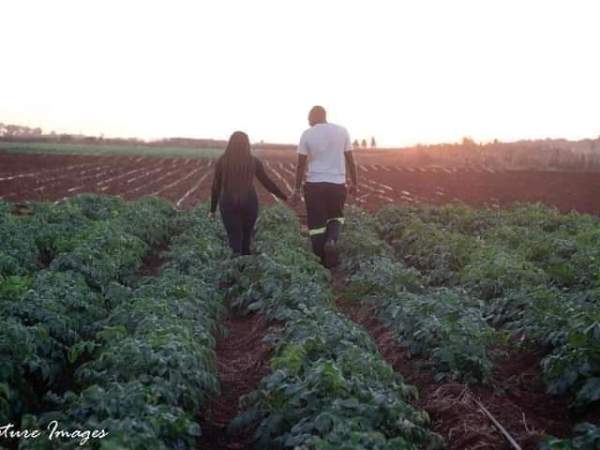 SADC recommendations on the importance of trade, policy and investment in facilitating sustainable and resilient agri-food&nbsp;systems.
