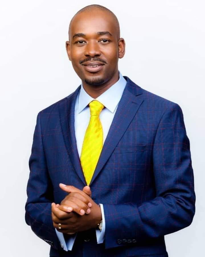 POLITICAL parties in southern Africa yesterday roundly condemned the brutal murder of Zimbabwean national Elvis Nyathi in South&nbsp;Africa