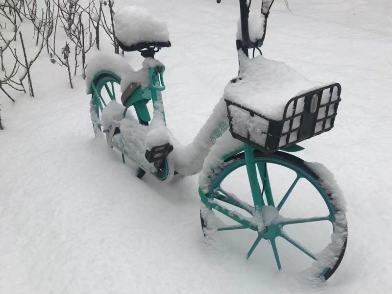 AMAZING PHOTOS OF SNOWY&nbsp;BEIJING