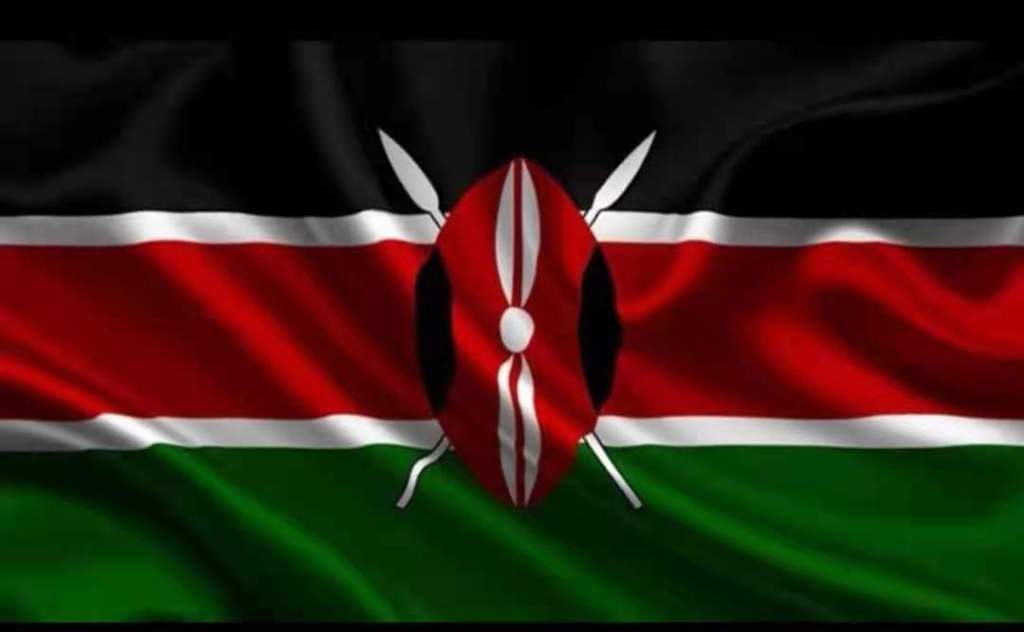 Kenya doomsday cult death toll climbs to 201 –&nbsp;official