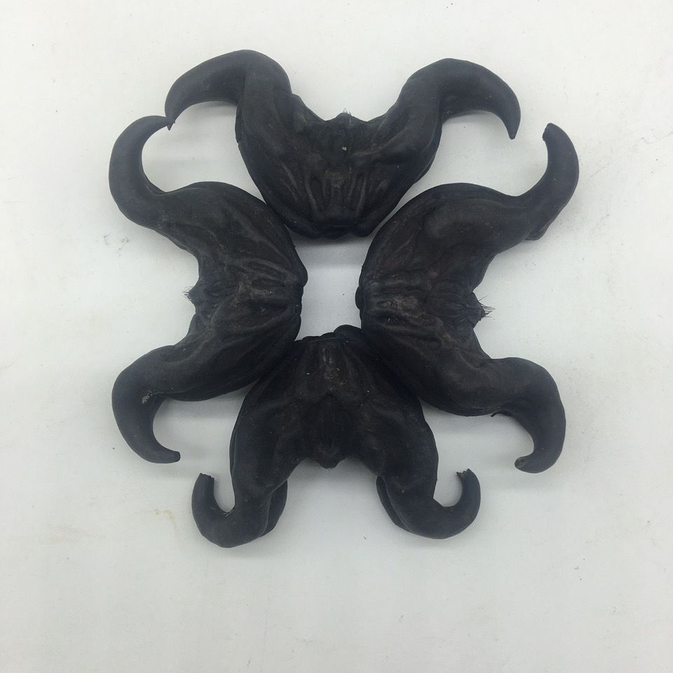 STRANGE DEVIL PODS; WHAT ARE THESE IN YOUR&nbsp;LANGUAGE